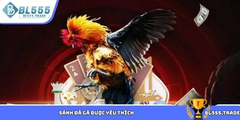 Sảnh đá gà được yêu thích