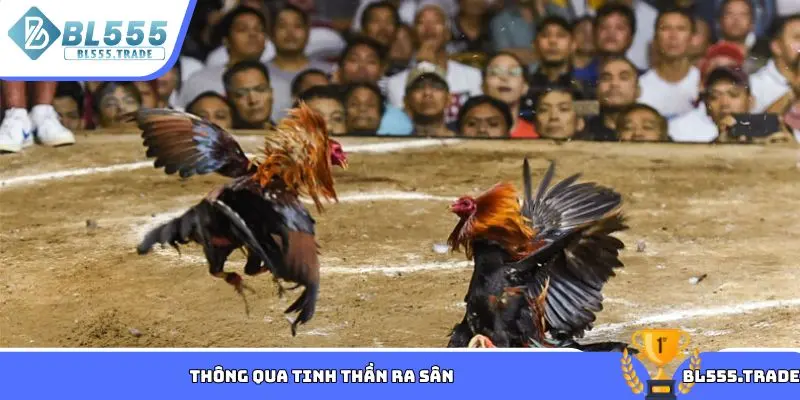 Thông qua tinh thần ra sân